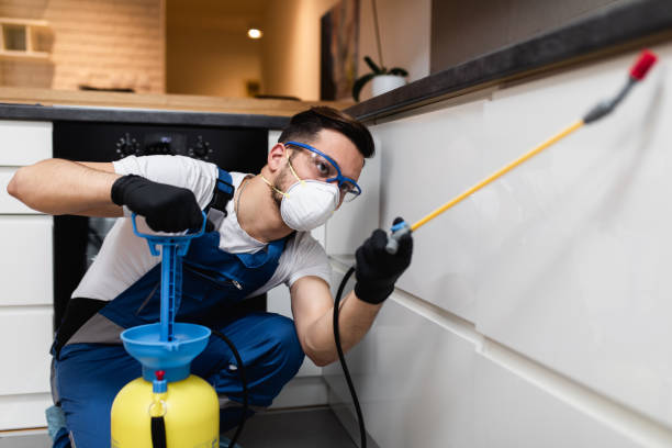 Wasp Removal Services in Beckett Ridge, OH