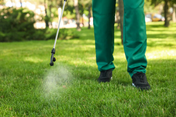 Best Local Pest Control Services  in Beckett Ridge, OH