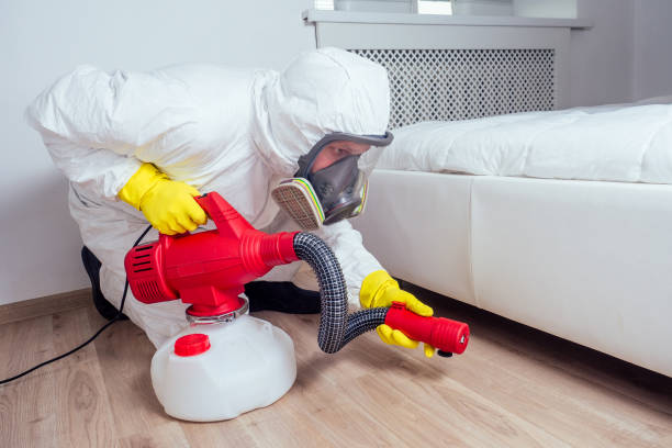Best Wasp Removal Services  in Beckett Ridge, OH