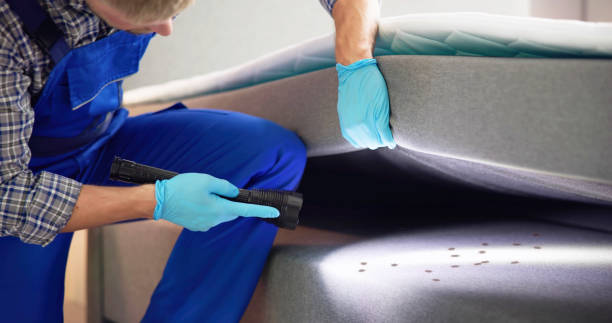 Best Wasp Removal Services  in Beckett Ridge, OH