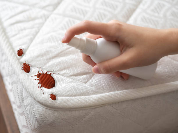 Best Best Pest Control Companies  in Beckett Ridge, OH
