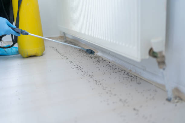Best Commercial Pest Control Services  in Beckett Ridge, OH