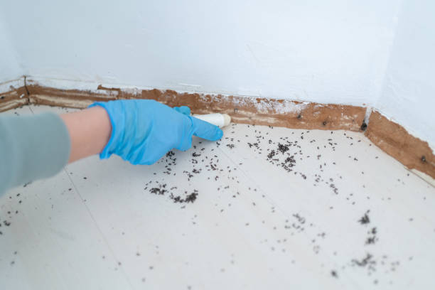 Best Pest Prevention Services  in Beckett Ridge, OH